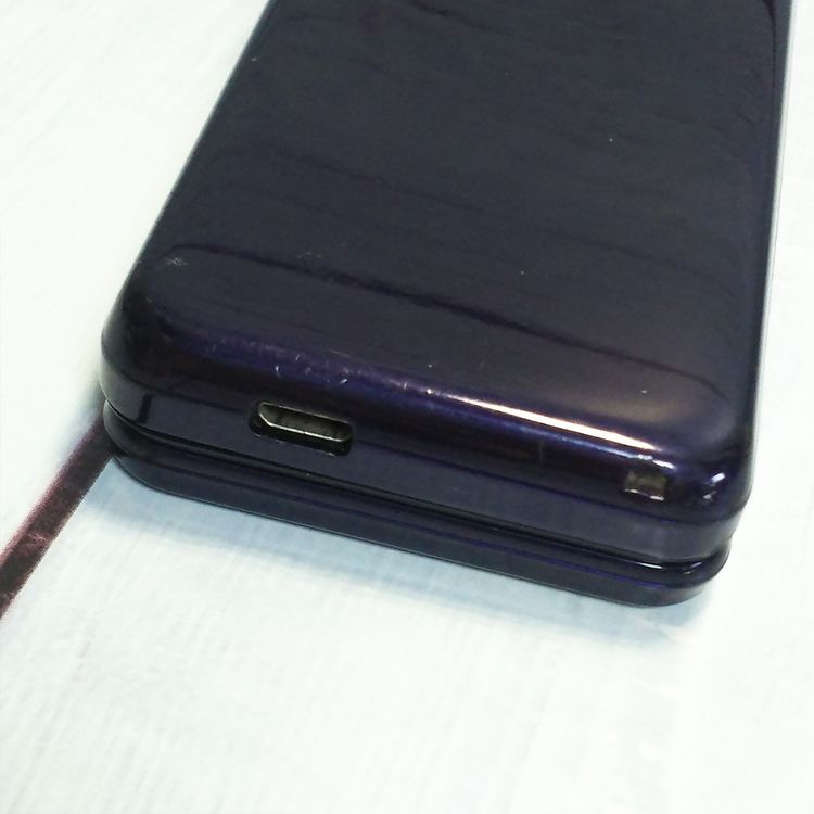 docomo SHARP �����쥹�������� SH-02K �֥롼�֥�å� �ͥ��ӡ�  095