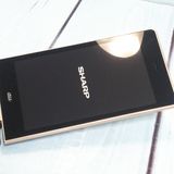 SHARP au AQUOS K SHF32 ����С� �֥饦��  059