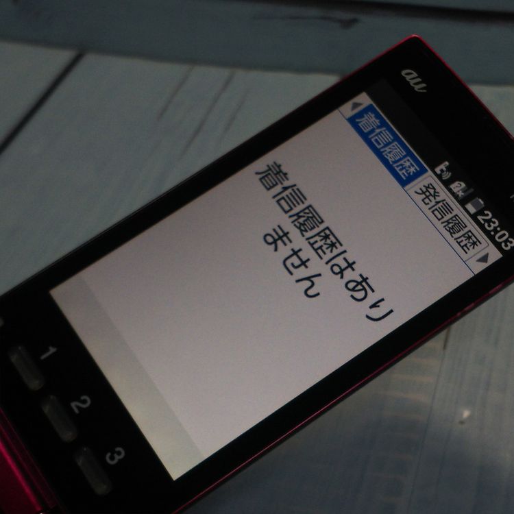 au ������ ���󤿤󥱡����� KYF38 �磻���å�  809