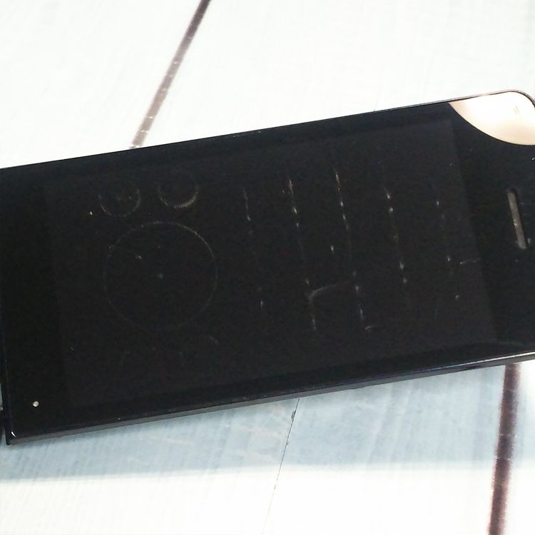 docomo SH-02L AQUOS SHARP �������� �֥�å�  973