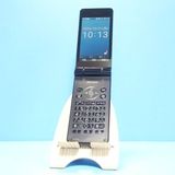 docomo SHARP SH-03L �֥�å� �ӥ��ͥ����� �����쥹��������  409