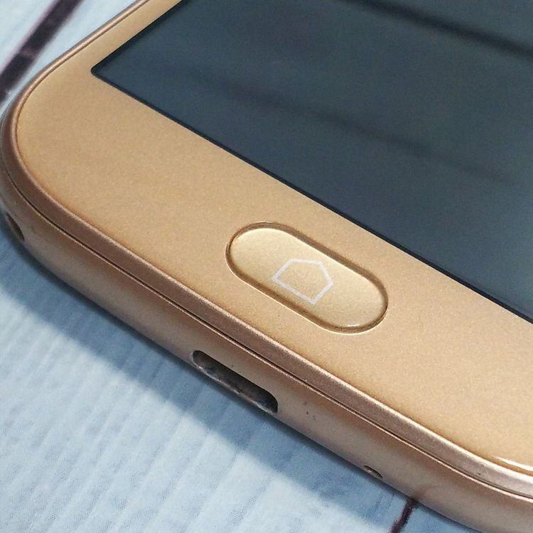 docomo F-01L ٻ  餯餯ޡȥե me  559