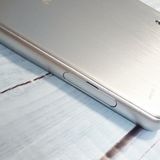 docomo Xperia X Performance SO-04H �ۥ磻�� ����С�  173