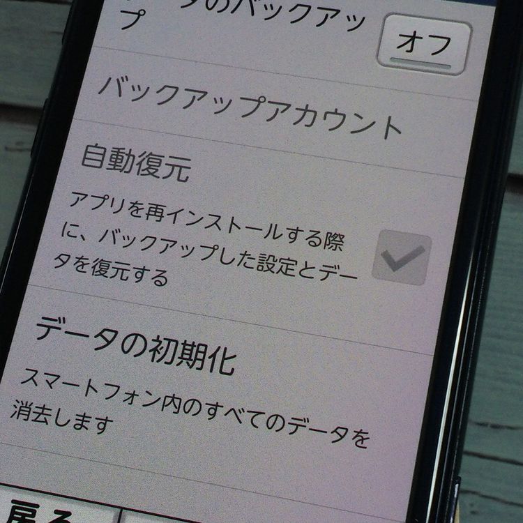 docomo 餯餯ޡȥե F-42A ͥӡ SIMå  027