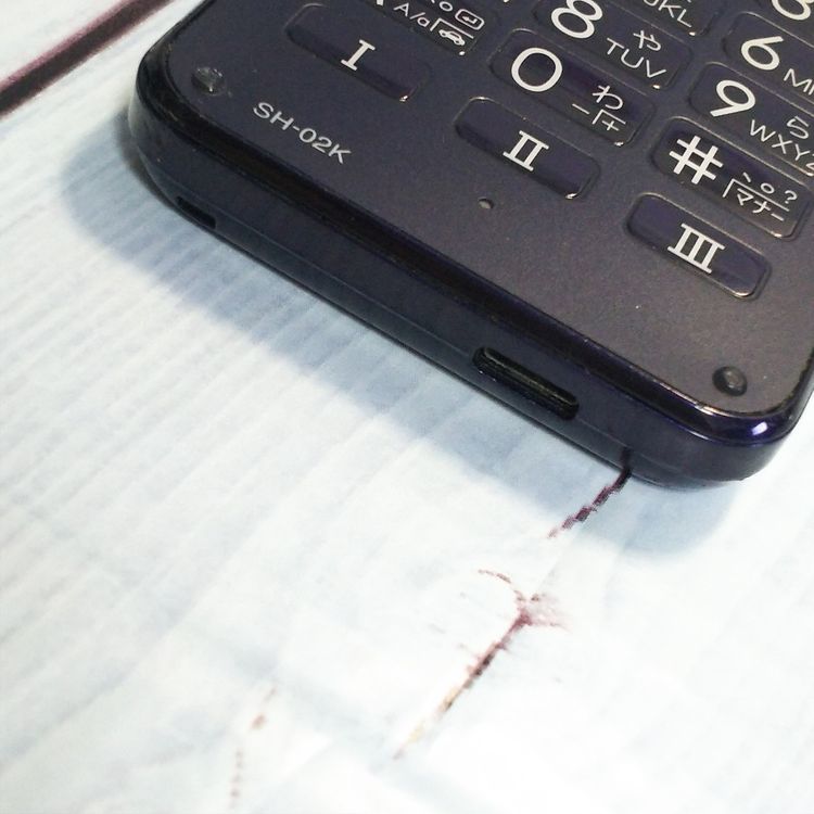 docomo SHARP �����쥹�������� SH-02K �֥롼�֥�å� �ͥ��ӡ�  186