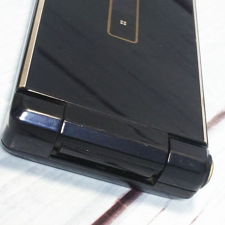 docomo SHARP SH-03H �֥�å� �����쥹����   664