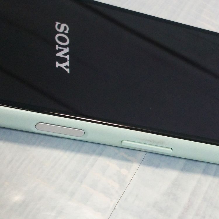 docomo Xperia 10 II SO-41A �ߥ�� [������]  509