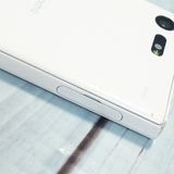 docomo Xperia X Compact SO-02J �ۥ磻��  363