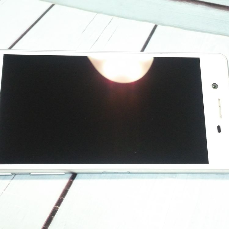 docomo Xperia X Performance SO-04H �ۥ磻�� ����С�  013