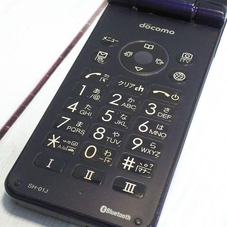 docomo AQUOS SH-01J �֥롼�֥�å� �ͥ��ӡ� �������� SHARP  486