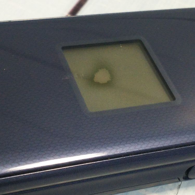 docomo �ٻ��� �餯�餯�ۥ� F-01M �ͥ��ӡ�  743