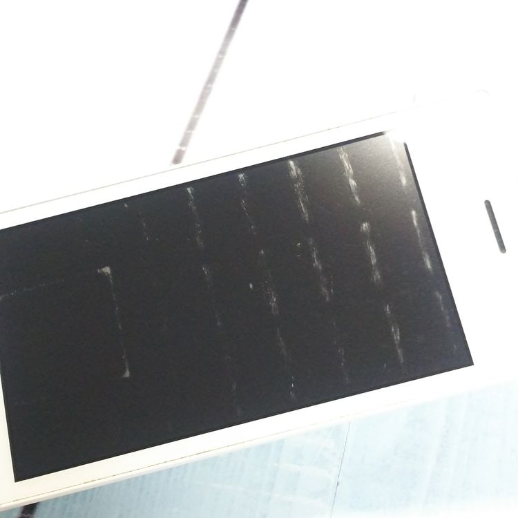 SoftBank ������ DIGNO�������� 501KC �ۥ磻��  872