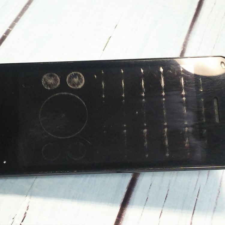 docomo SH-02L AQUOS SHARP �������� �֥�å�  234
