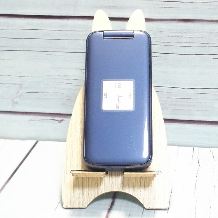 docomo �ٻ��� �餯�餯�ۥ� F-01M �ͥ��ӡ�  923