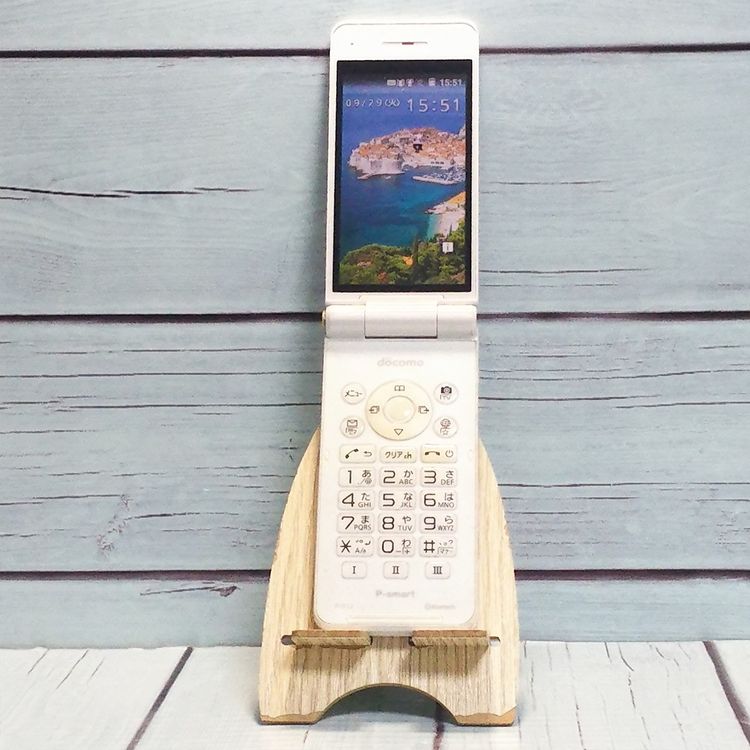 PANASONIC docomo P-smart �������� P-01J �ۥ磻��  515