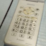 PANASONIC docomo P-smart �������� P-01J �ۥ磻��  515
