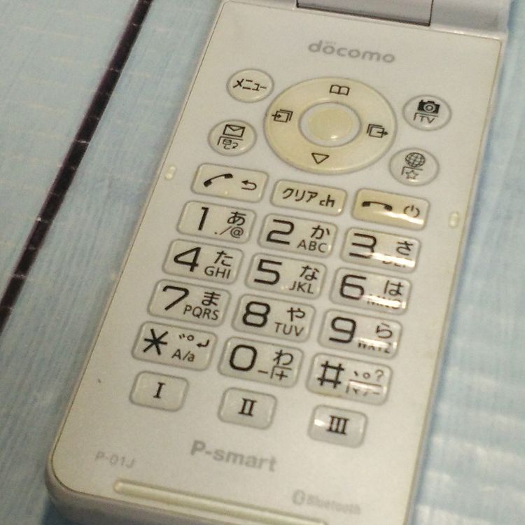 PANASONIC docomo P-smart �������� P-01J �ۥ磻��  515