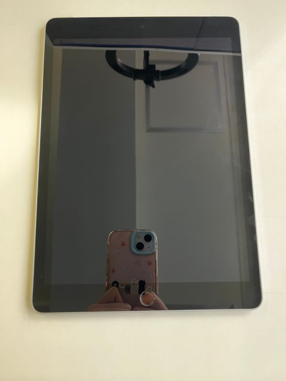 ���� iPad (��9����) Wi-Fi+Cellular 256GB ����С� - 1860