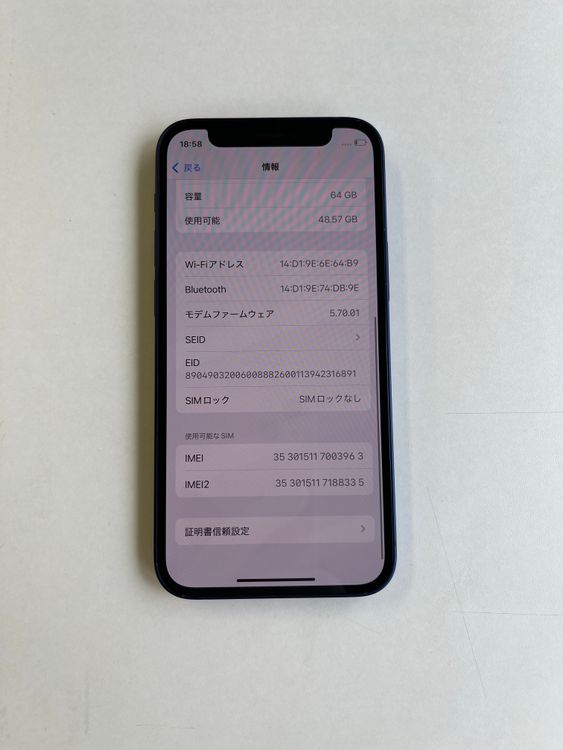  iPhone 12 mini 64GB ֥롼 Хåƥ꡼100% - 3963