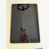 ���� iPad (��9����) 64GB ���ڡ������쥤 MK2K3J/A - 7C46