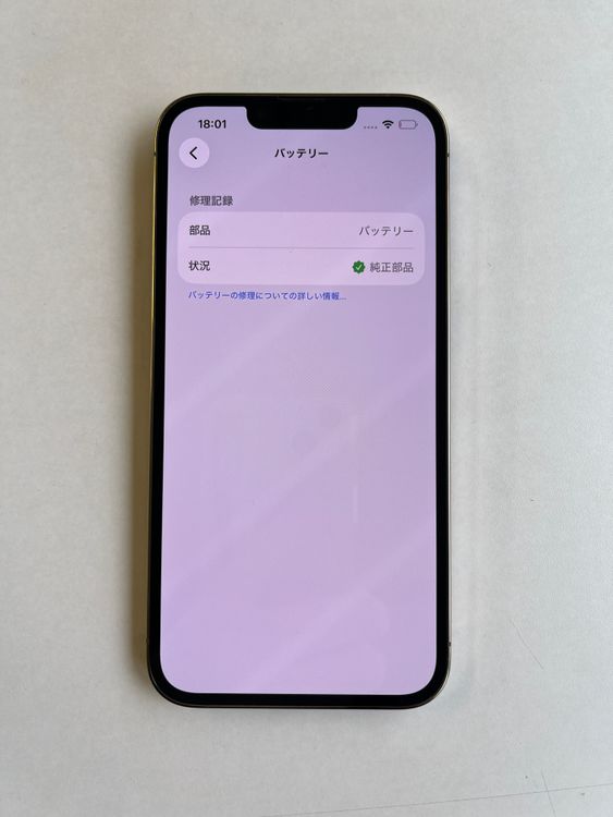 ���� iPhone 13 Pro 256GB ������� �Хåƥ꡼93% - 2073