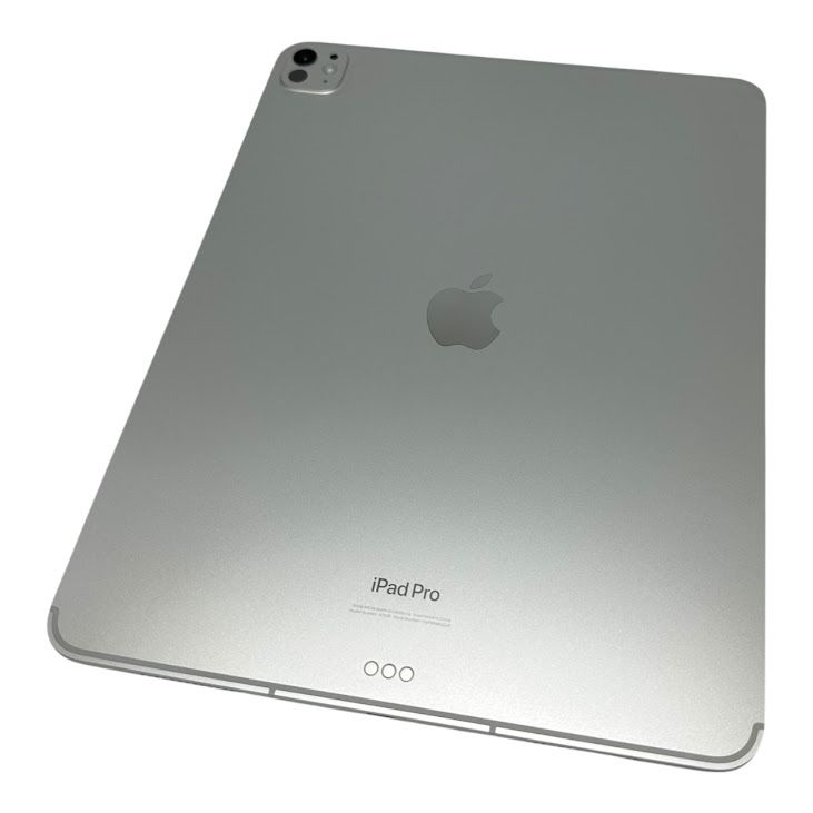 ڥХåƥ꡼100%iPadPro131塡Wi-Fi+Cellularǥ롡2TB