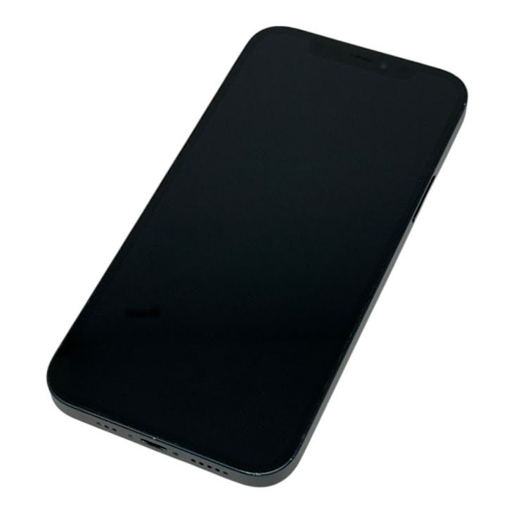 iPhone1264GB֥åSIMե꡼եȥХ