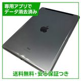 iPad��9��Wi��Fi��Cellular��64GB�����ڡ������쥤��SIM�ե꡼