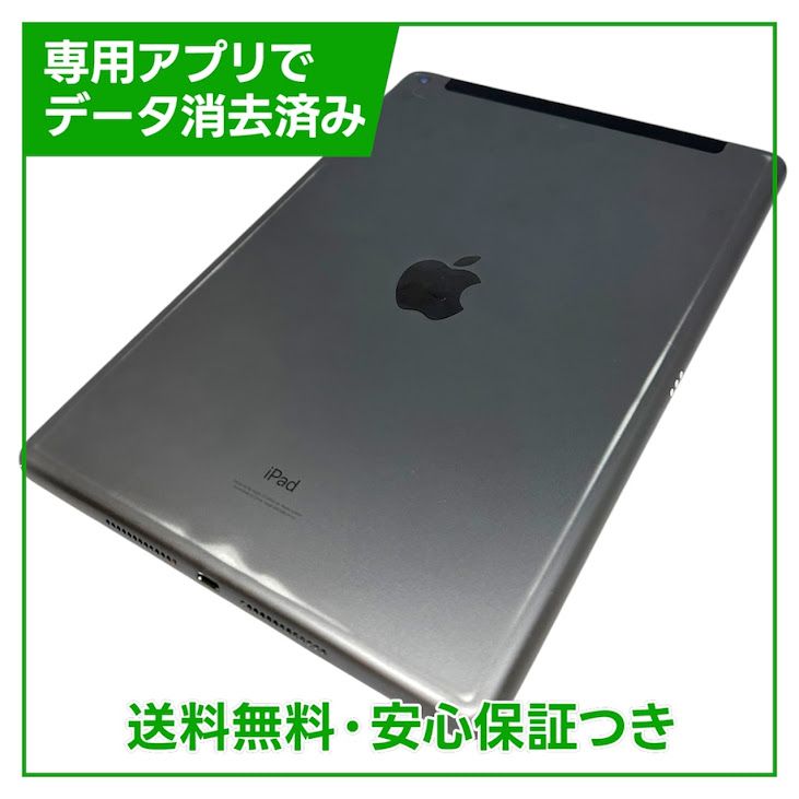 iPad��9��Wi��Fi��Cellular��64GB�����ڡ������쥤��SIM�ե꡼