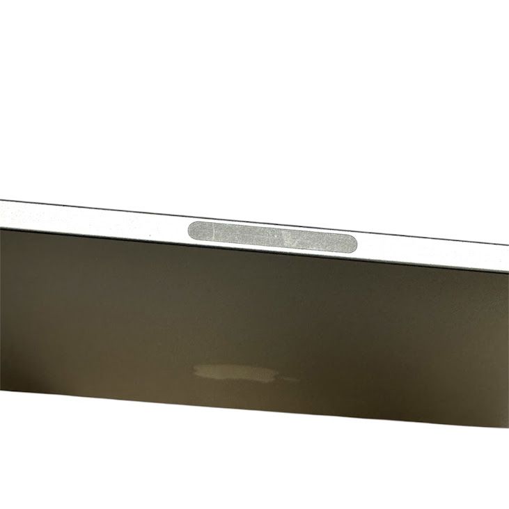 �ڥХåƥ꡼100%��iPadPro��13�������1���塡Wi��Fi��Cellular��2TB