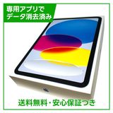 �ڥХåƥ꡼100%��iPad��11��Wi��Fi��128GB���֥롼