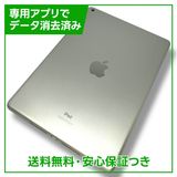 ڥХåƥ꡼98%iPad9WiFi64GBС