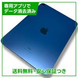 ڥХåƥ꡼97%iPad10WiFi256GB֥롼