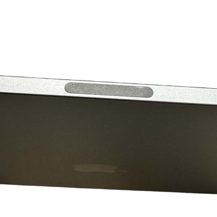 �ڥХåƥ꡼100%��iPadPro��12.9�������4���塡����顼��ǥ롡256GB