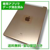 iPad7WiFiCellular32GBɡSIMե꡼եȥХ