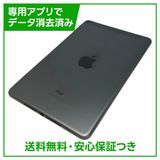 【バッテリー91%】iPadmini 5 Wi−Fi+Cellular 256GB スペースグレイ