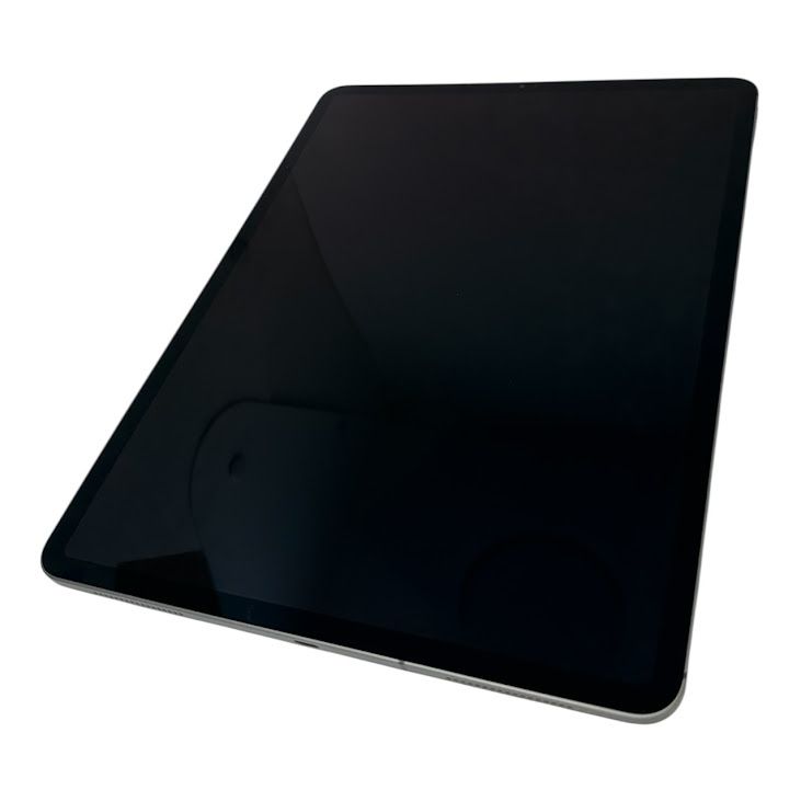 �ڥХåƥ꡼100%��iPadPro��12.9�������4���塡����顼��ǥ롡256GB