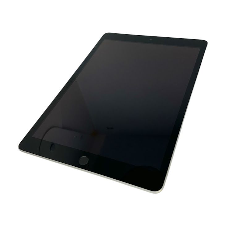 iPad��9��Wi��Fi��Cellular��64GB������С���SIM�ե꡼��au��