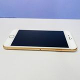 iPhone 8 64GB SIMե꡼ 100% 36989