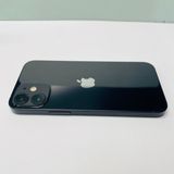 iPhone 12 mini 64GB SIMե꡼ 100%򴹺 97988