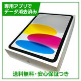 �ڥХåƥ꡼100%��iPad��11��Wi��Fi��128GB������С�
