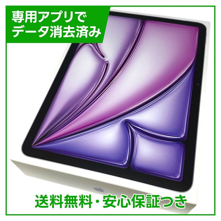ڥХåƥ꡼100iPadAir116塡WiFi256GBѡץ