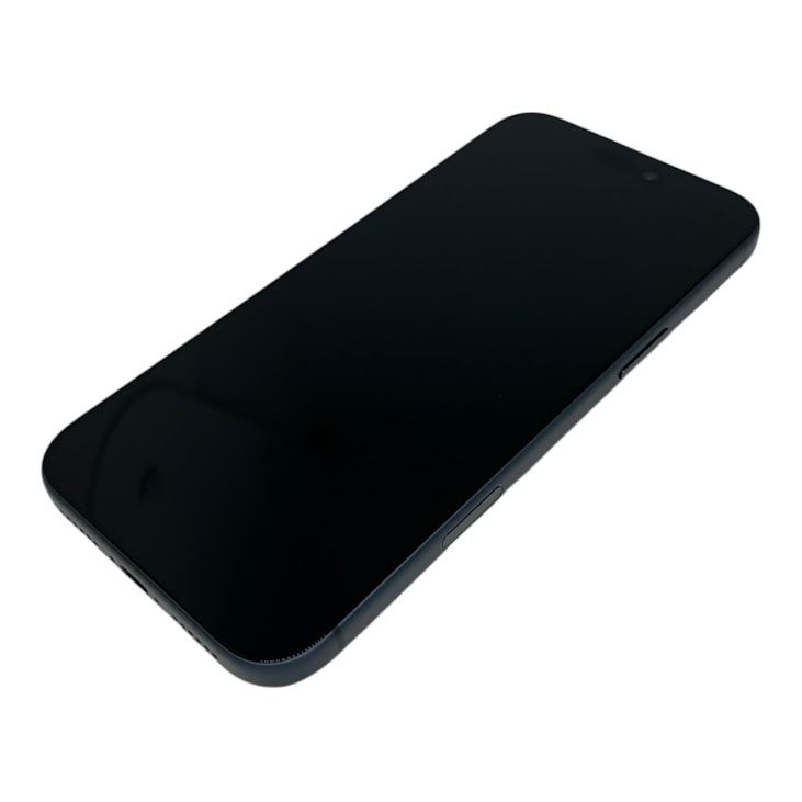 �ڥХåƥ꡼100%��iPhone��17ProMax��512GB���ǥ����ץ֥롼