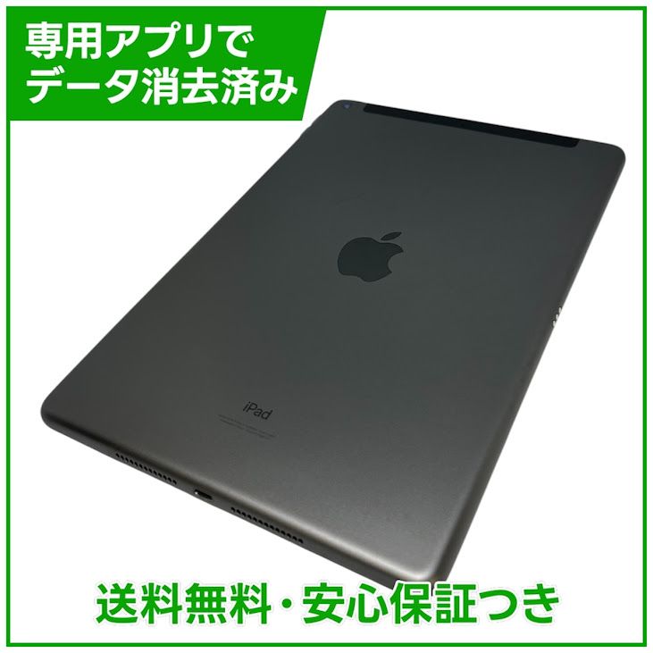 iPad��9��Wi��Fi��Cellular��64GB�����ڡ������쥤��SIM�ե꡼