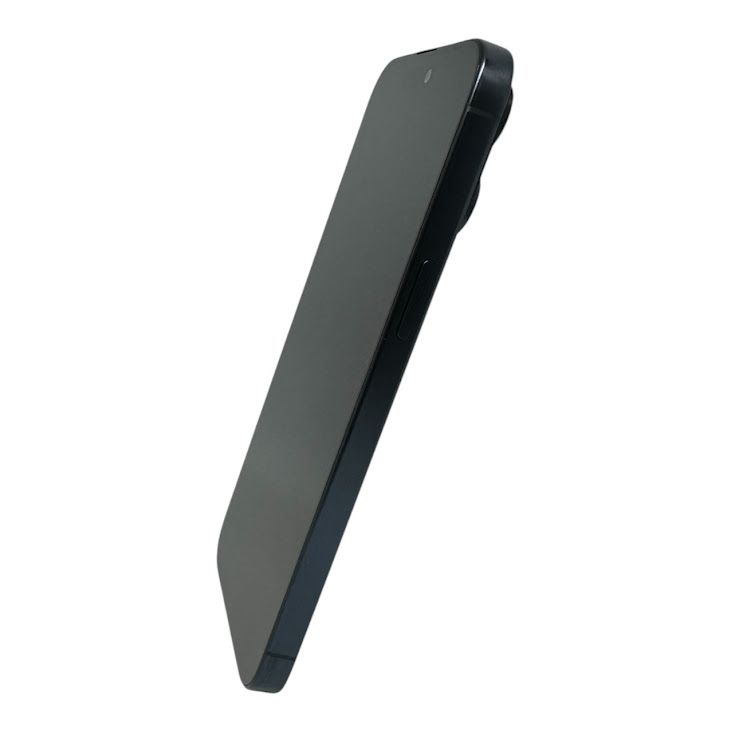 �ڥХåƥ꡼100%��iPhone��15ProMax��256GB���֥롼�����˥���