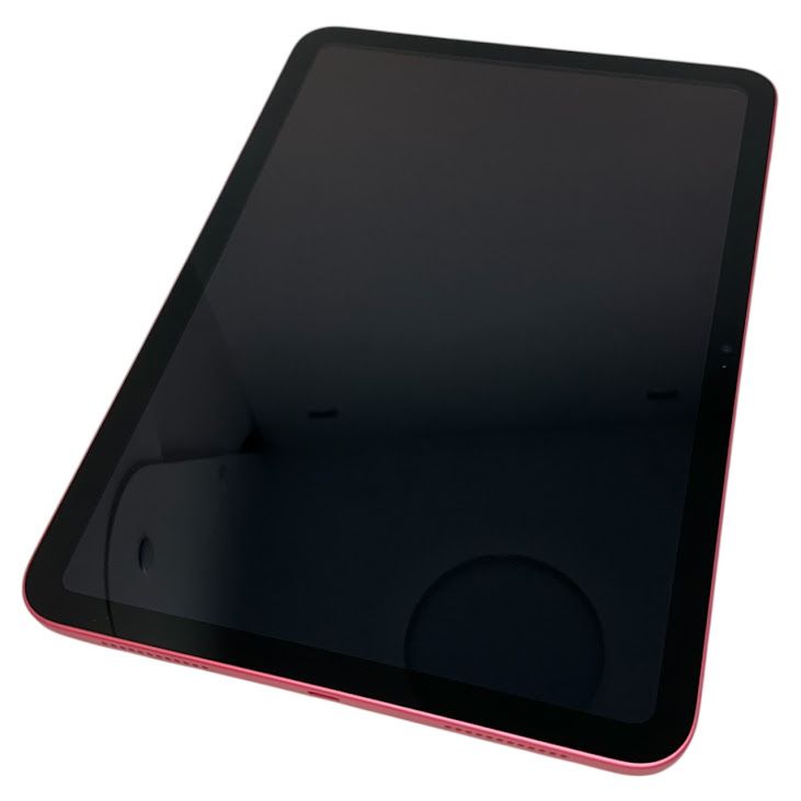 ڥХåƥ꡼100iPad11WiFi128GBԥ