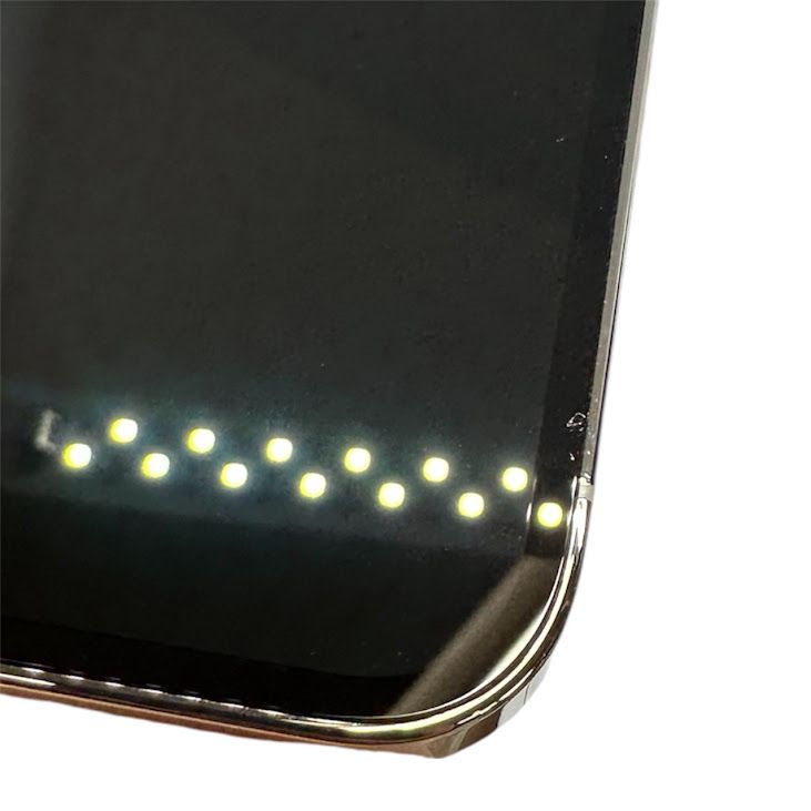 iPhone��13Pro��256GB������С���SIM�ե꡼���ɥ�����