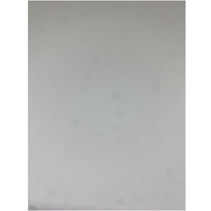 iPhone��11��64GB���ۥ磻�ȡ�SIM�ե꡼��au��