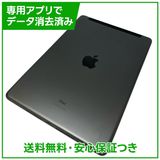 iPad��9��Wi��Fi��Cellular��64GB�����ڡ������쥤��SIM�ե꡼