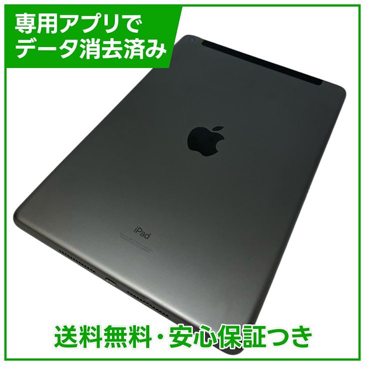 iPad��9��Wi��Fi��Cellular��64GB�����ڡ������쥤��SIM�ե꡼